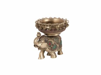 _MG_8982 copy 2 _MG_8982 copy 2