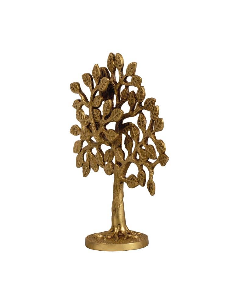 _MG_9000 copy 2 _MG_9000 copy 2