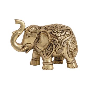 _MG_9058 copy 2 _MG_9058 copy 2