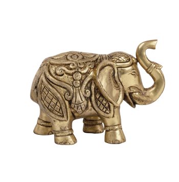 _MG_9060 copy 2 _MG_9060 copy 2